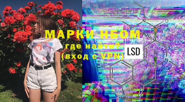 хмурый Касимов